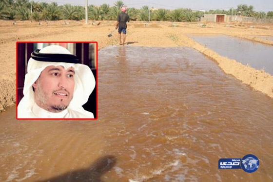 المسند : يوصف حال وزارة المياه مع المواطن بالجشع والنملة