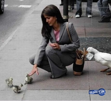 شاهد.. مجموعة صور التقطت في الوقت المناسب منها المثير والمضحك