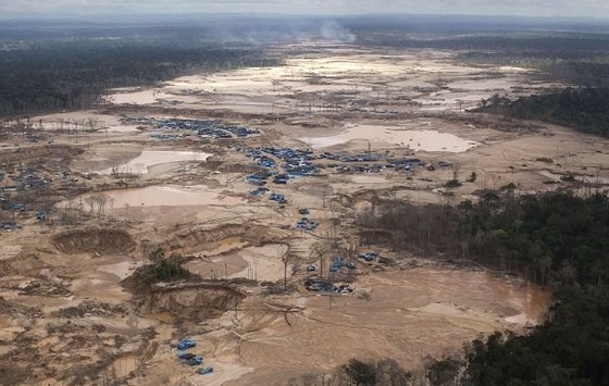 البيرو تعلن حالة الطوارئ في منطقة الغابات بسبب التلوث