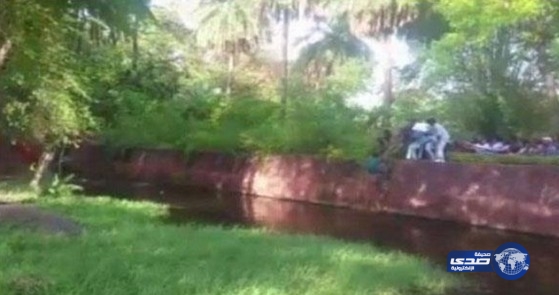 بالفيديو.. هندي أراد مصافحة الأسود وقت تناول طعامها فهاجمته