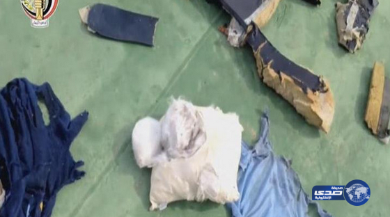 الطب الشرعي المصري: لا انفجار بالطائرة المنكوبة