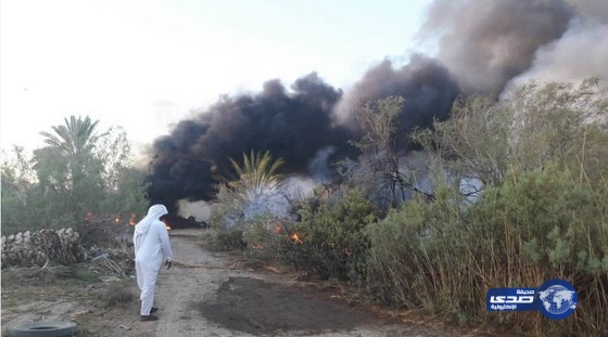 بالصور: امتداد الحرائق في مزارع هداج تيماء‎