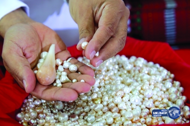 دبي تحتضن أكبر لؤلؤة طبيعية في العالم