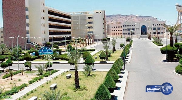 أسماء المرشحين على وظيفة معيد في قسم اللغويات بالجامعة الإسلامية