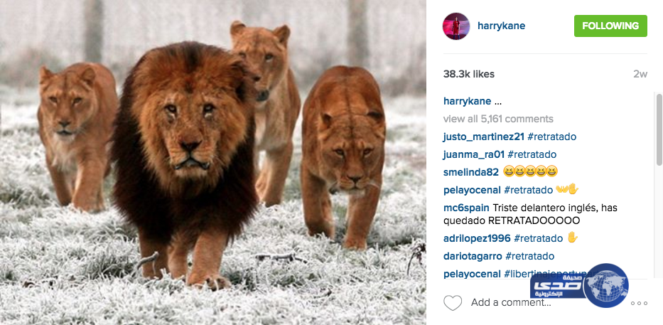 التغريدة التي أشعلت وسائل الإعلام الإنجليزية.. نجم ليستر يلقن هداف الدوري درساً قاسيا