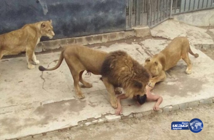 بالفيديو.. إنتحار غريب جدا .. تعرى وقفز في قفص أسود