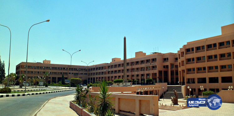 دراسة مصرية: 60% من شباب الجامعات متزوجون عرفيًا