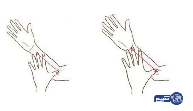 معلومات مثيرة.. ماذا يقول حجم يدك عن شخصيتك؟