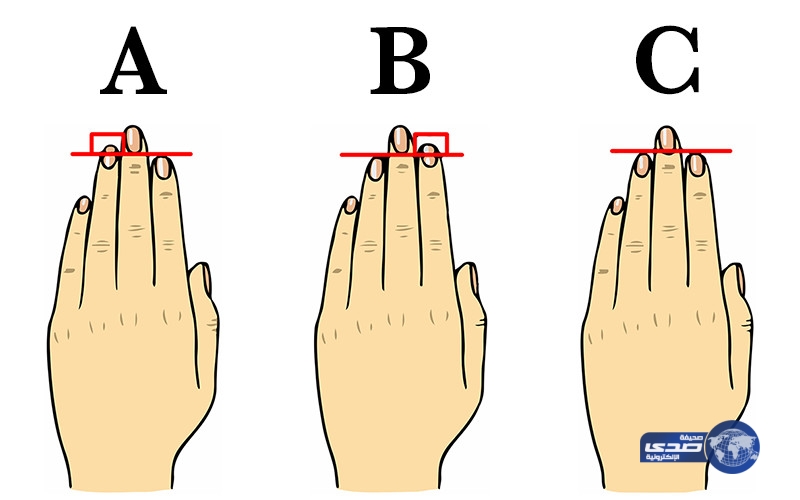 هذا هو سرّ اختلاف طول أصابعنا!