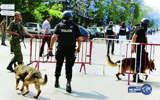 تونس: ضبط خلية إرهابية تعمل على تجنيد الشباب