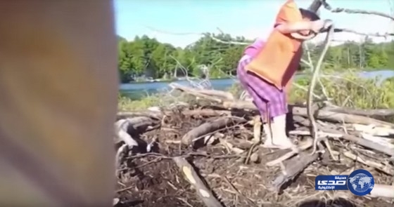 بالفيديو.. طفلة شجاعة تمسك أفعى كبيرة بيدها