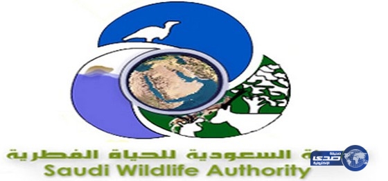 إعلان أسماء المرشحين للاختبار لوظائف الهيئة السعودية للحياة الفطرية