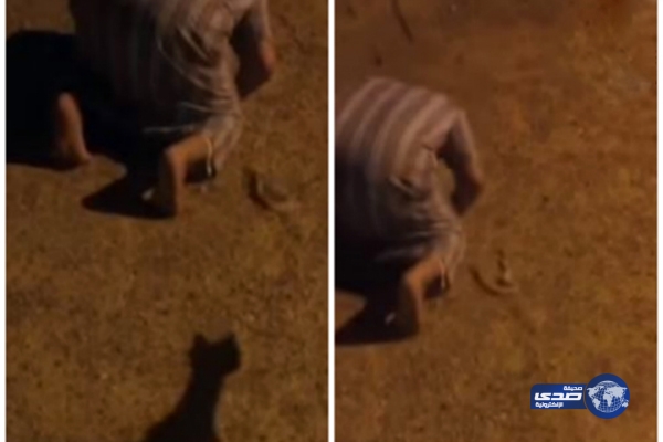 بالفيديو.. رد فعل شاب رمي عليه صديقه ثعبان أثناء الصلاة