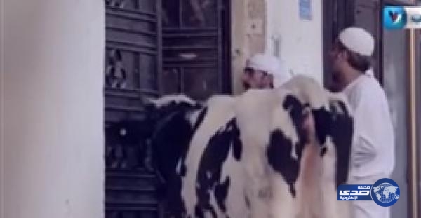 بالفيديو ..كاميرا خفية بفلسطين كادت تتحول الى كارثة بعد استعانة الضحية ببندقية