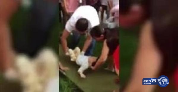 بالفيديو.. أم تلقى بابنها من الطابق السابع بعد شجار مع زوجها