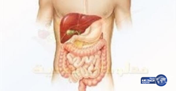 بالفيديو.. 5 أخطاء يرتكبها الصائم تتسبب في تدمير الجهاز الهضمي