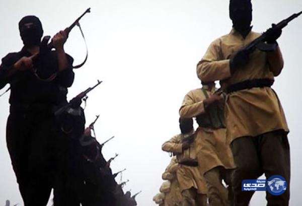 عالم رياضيات يبتكر معادلة للقضاء على داعش