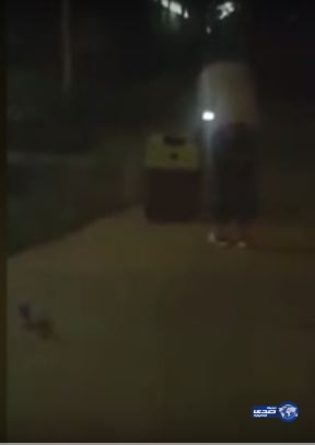 بالفيديو.. العثور على امرأة محتجزة داخل حقيبة بعد اغتصابها