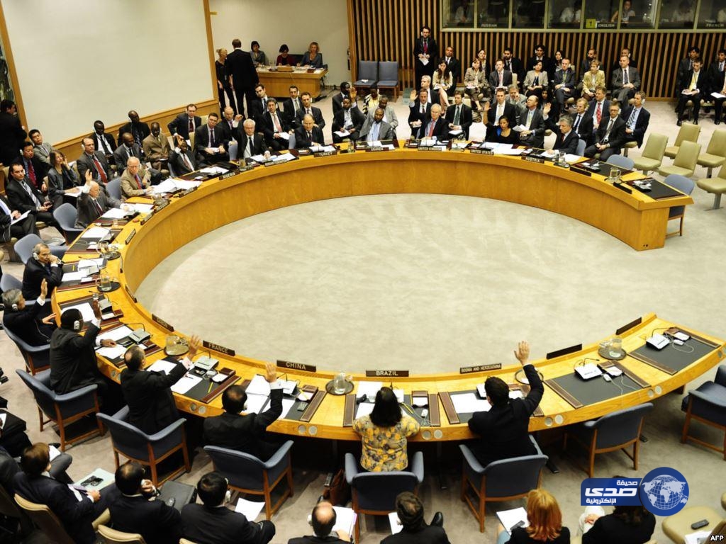 مصر تعطل صدور بيان في مجلس الأمن لإدانة العنف في تركيا