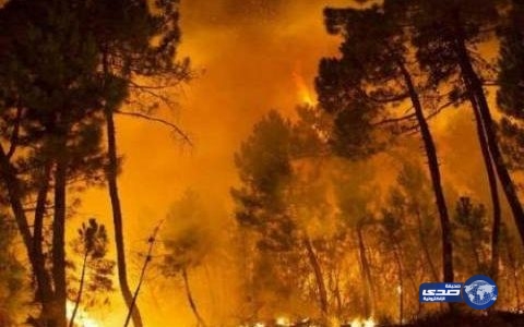 تدمير عشرات المنازل أثر نشوب حرائق في غابات جنوب غربي الولايات المتحدة