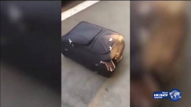 بالفيديو.. رجل طوله 1.8 متر في حقيبة متوسطة الحجم!