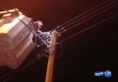 بالفيديو.. &#8220;كهرباء جازان &#8221;  تنقذ قطة علقت فوق عمود  في صامطة