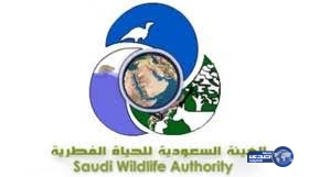 هيئة الحياة الفطرية تعلن أسماء المرشحين لوظائف مراقبي الأمن والسلامة