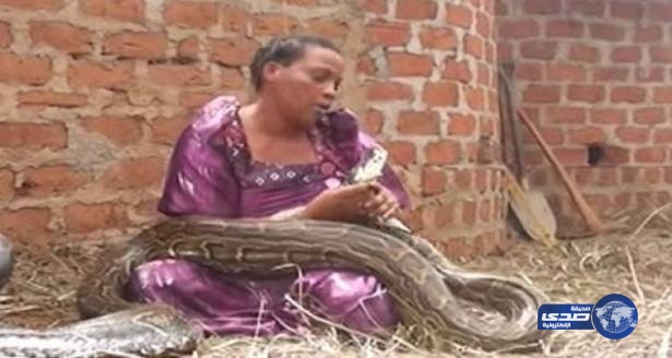 نامت مع الأفعى ومن ثم أخبرها البيطري شيئاً صدمها !