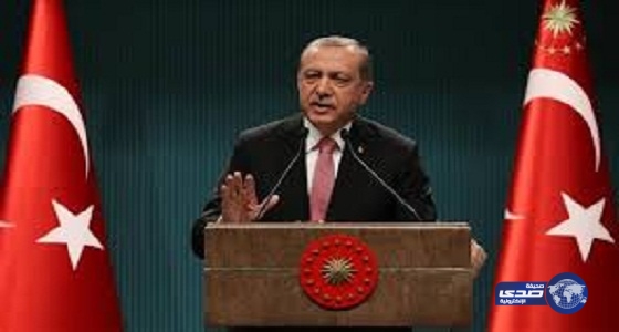 مسؤول تركي: أردوغان كان المستهدف من تفجيرات إسطنبول