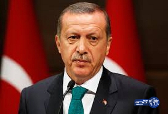 أردوغان: يجب عدم ربط الهجمات الإرهابية بالإسلام