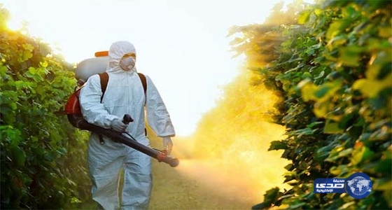 اكتشاف مزارع خضار بالرس مرشوشة بمبيدات مسرطنة محرمة دوليا