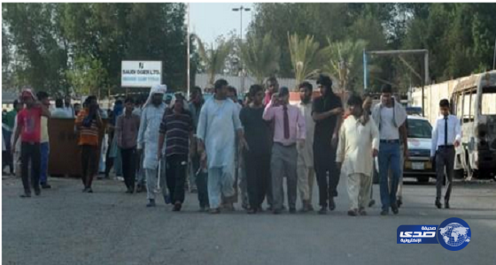 عمال «سعودي أوجيه» يتجمهرون في جدة احتجاجاً على تأخر رواتبهم لـ7 أشهر.. والشرطة تصرفهم