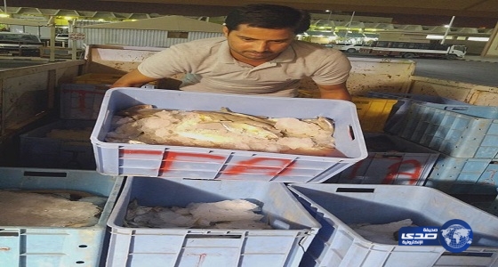 بالصور : ضبط 2 طن أسماك ولحوم فاسدة فى محل تجاري بحائل