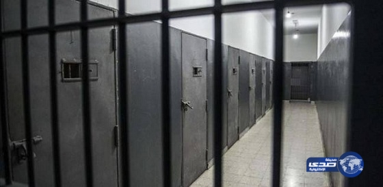 مسؤول بالخارجية المصرية: الشاب المتوفي في ألمانيا داخل أحد السجون &#8220;انتحر&#8221;