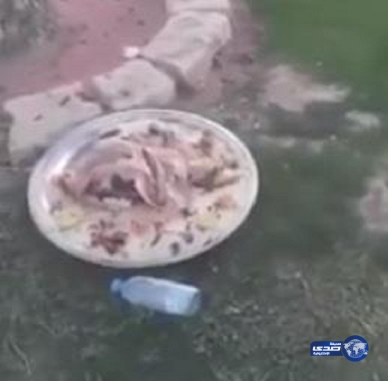 شاهد بالفيديو.. مواطن يرصد مفطحات كاملة ملقاة بإحدى الحدائق بمدينة الرياض