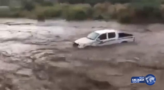  شاهد بالفيديو.. شباب يدفعون ثمن تهورهم وتحديهم للسيول بجازان