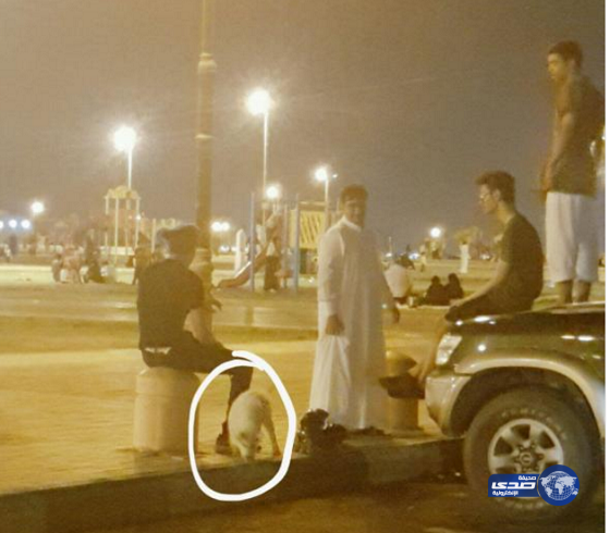 بالفديو والصور..عزاب يمارسون سلوكيات مشينة في إحدى منتزات سكاكا