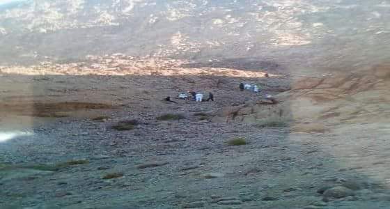 إنقاذ  3 شباب عَلِقوا فوق  قمة جبل لمدة  9 ساعات في “تبوك”