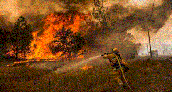 حريق يتسبب فى  إجلاء 82 ألفا و600 شخص فى كاليفورنيا