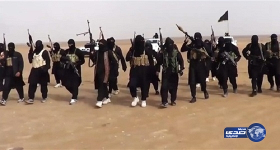تقرير يكشف ثقافة المنضمين لـ “داعش” ومصادرهم الوهمية لمعرفة الإسلام