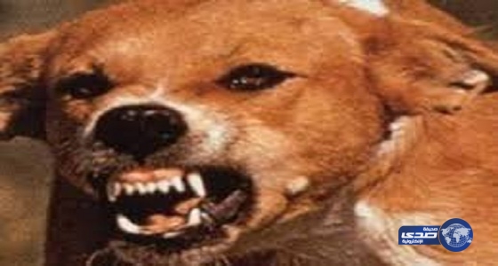 أمانة القصيم : ترفض تعويض والد ضحية الكلاب المسعورة بثلاثة ملايين ريال
