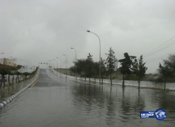 أمطار على محافظة الطائف