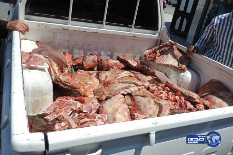 ضبط  لحوم فاسدة في حالة اذابة تامة داخل سيارة  بالقاهرة
