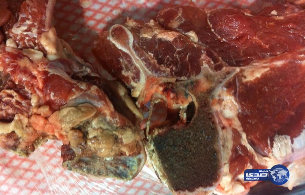 “أمانة جدة ” تحبط تهريب 776 ذبيحة فاسدة في نطاق بلديتي الجنوب وبريمان