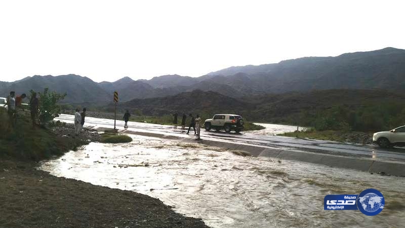 تساقط أمطار غزيرة مصحوبة برياح شديدة على القنفذة