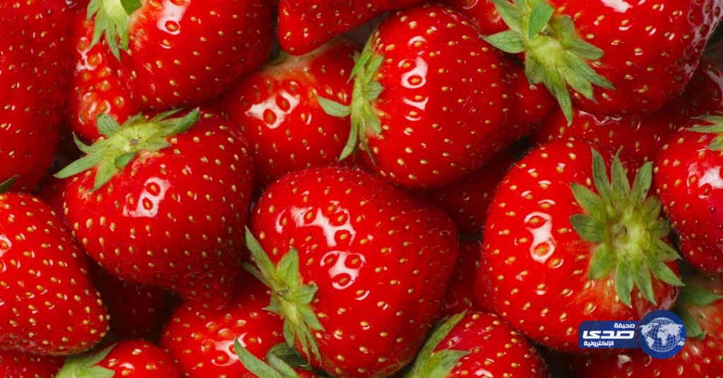 “الكويت” تفحص الأغذية القادمة من مصر بعد تقرير أمريكي عن الفراولة