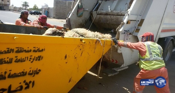 بالصور.. «بريدة» خالية من مخلفات الأضاحي