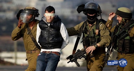 تقرير أممي: استشهاد 3 فلسطينيين واعتقال 239 آخرين خلال 14يوما