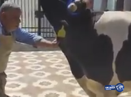 أردني يضحي عن شهداء الجيش السعودى .. ويتوعد الحوثي بالذبح