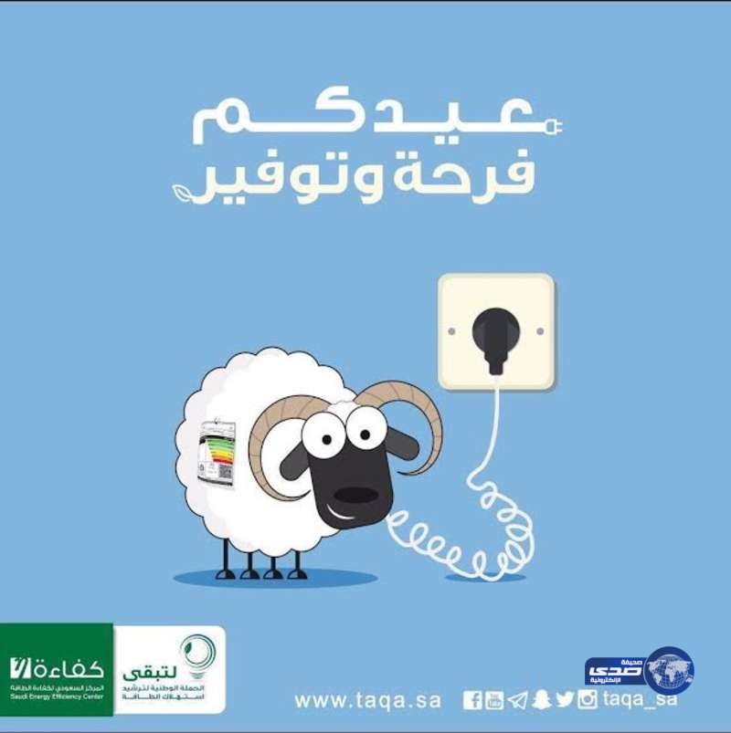 “كفاءة” تتفاعل مع خروف العيد وتنصح المواطنين لترشيد الكهرباء بالمنازل